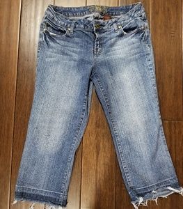 ZD Premium Women's Capri